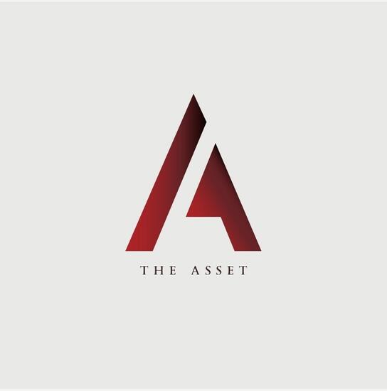 The Asset