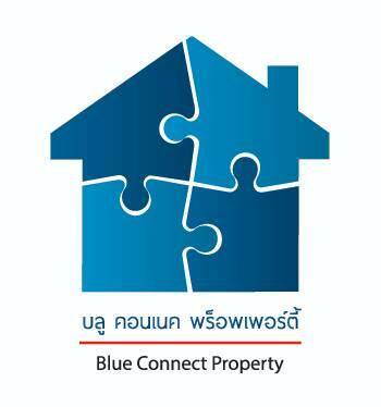 Blue Connect Group Co., Ltd.