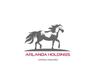 Arlanda Holdings Co.,LTD