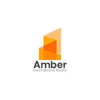 Amber International