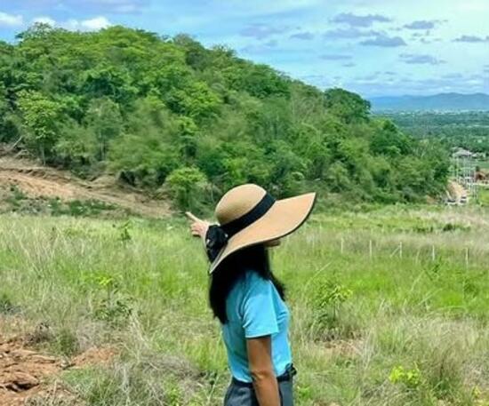 นุชลี ชเวิร์ตเฟเกอร์