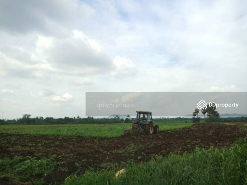 ขาย - ที่ดิน 94 ไร่ วังม่วงสระบุรี, สระบุรี