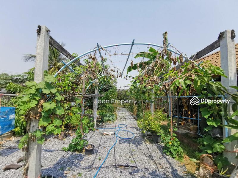 For Sale - H2SS-218​ ต.บุ่งแก้ว อ.โนนสะอาด จ.อุดรธานี : Two-story Thai House, Bung Kaeo Subdistrict,, Udon Thani