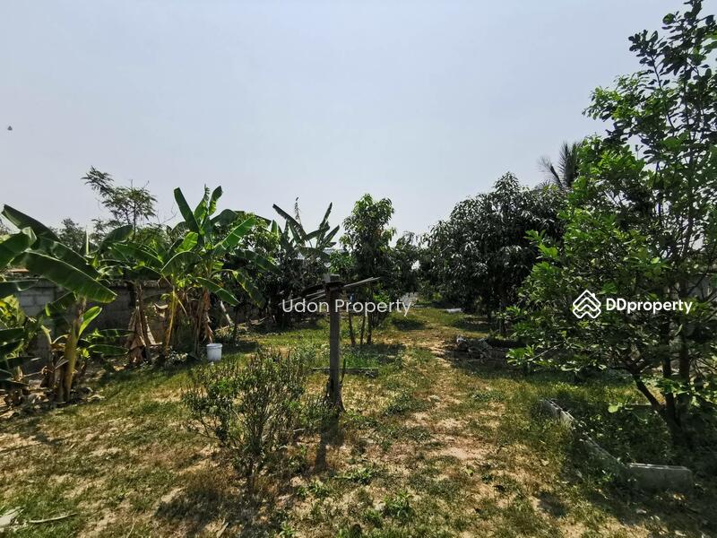 For Sale - H2SS-218​ ต.บุ่งแก้ว อ.โนนสะอาด จ.อุดรธานี : Two-story Thai House, Bung Kaeo Subdistrict,, Udon Thani