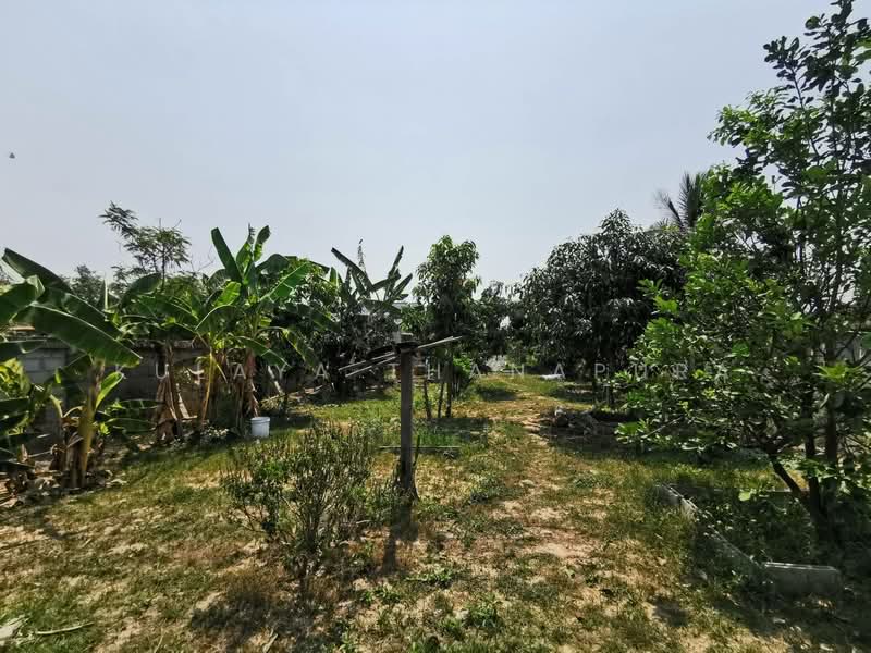 H2SS-218 ต.บุ่งแก้ว อ.โนนสะอาด จ.อุดรธานี : Two-story Thai House, Bung Kaeo Subdistric, Udon Thani, บุ่งแก้ว, Bung Kaeo, Non Sa-at, Udon Thani, 6 Bedrooms, 500 sqm, Single Detached House For Sale, by Kulaya Thanapura, 10025640 - DDproperty.com