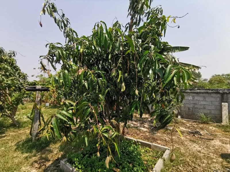 H2SS-218 ต.บุ่งแก้ว อ.โนนสะอาด จ.อุดรธานี : Two-story Thai House, Bung Kaeo Subdistric, Udon Thani, บุ่งแก้ว, Bung Kaeo, Non Sa-at, Udon Thani, 6 Bedrooms, 500 sqm, Single Detached House For Sale, by Kulaya Thanapura, 10025640 - DDproperty.com