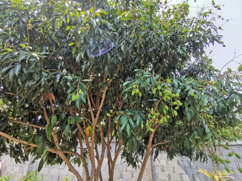 H2SS-218 ต.บุ่งแก้ว อ.โนนสะอาด จ.อุดรธานี : Two-story Thai House, Bung Kaeo Subdistric, Udon Thani, บุ่งแก้ว, Bung Kaeo, Non Sa-at, Udon Thani, 6 Bedrooms, 500 sqm, Single Detached House For Sale, by Kulaya Thanapura, 10025640 - DDproperty.com