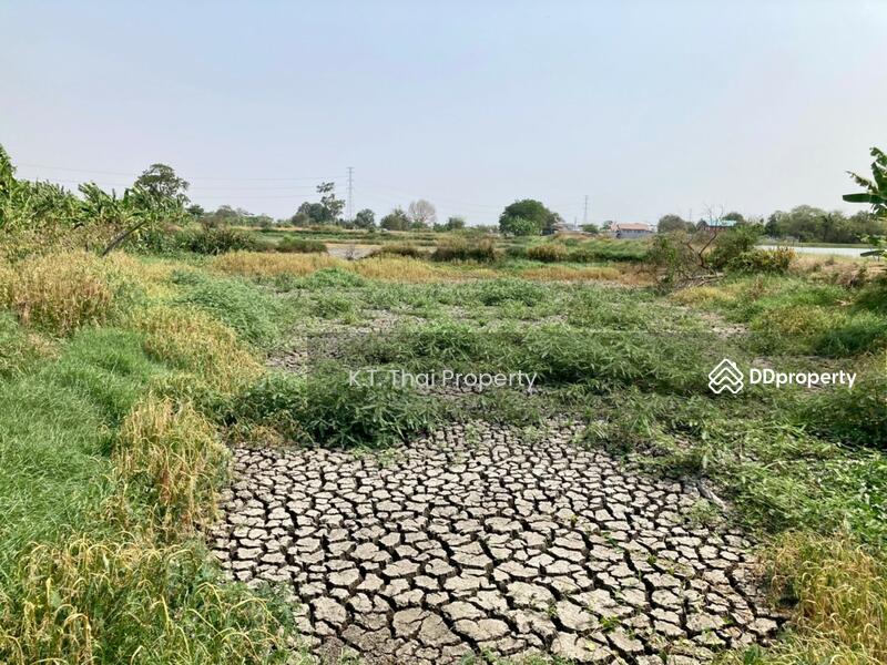 Land for rent near wellgrow industrial estates, Chachoengsao, บางนา ตราด, Bang Wua, Bang Pakong, Chachoengsao, , 37,760 sqm, Land For Rent, by Paitoon T, 10028747 - DDproperty.com