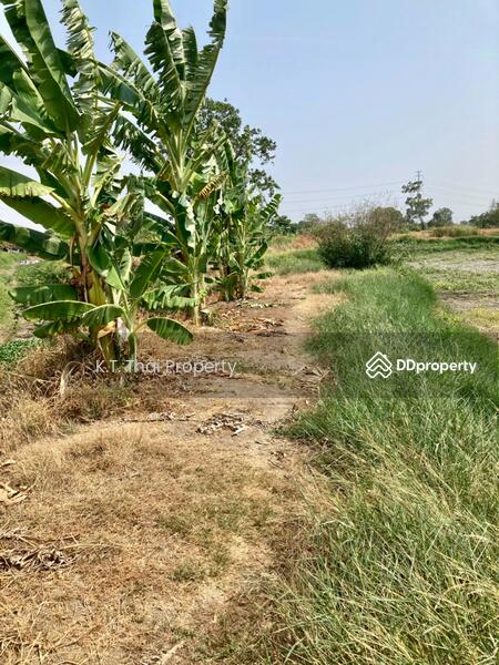Land for rent near wellgrow industrial estates, Chachoengsao, บางนา ตราด, Bang Wua, Bang Pakong, Chachoengsao, , 37,760 sqm, Land For Rent, by Paitoon T, 10028747 - DDproperty.com