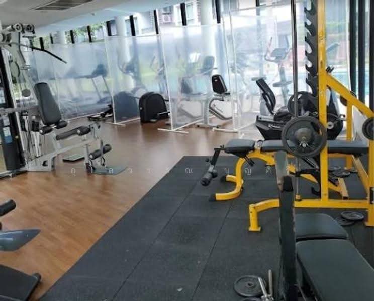 Elio Del Ray, Bangkok, 95 Sukhumvit 64 Road, Bang Chak, Phra Khanong, Bangkok, 1 Bedroom, 34 sqm, Condo For Rent, by Ulaiwan Boonsiri, 10034875 - DDproperty.com