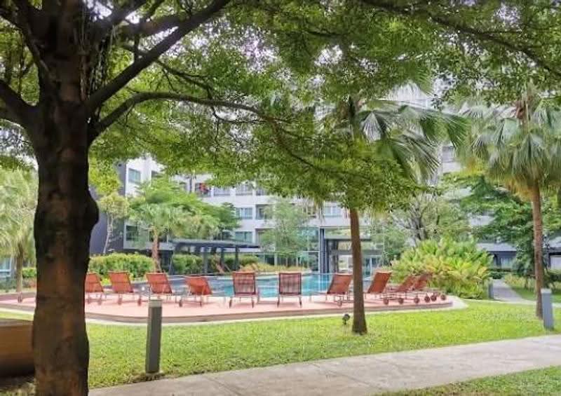 Elio Del Ray, Bangkok, 95 Sukhumvit 64 Road, Bang Chak, Phra Khanong, Bangkok, 1 Bedroom, 34 sqm, Condo For Rent, by Ulaiwan Boonsiri, 10034875 - DDproperty.com