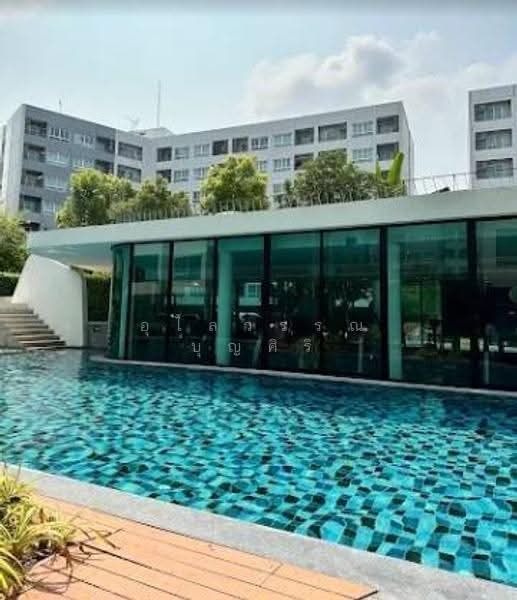 Elio Del Ray, Bangkok, 95 Sukhumvit 64 Road, Bang Chak, Phra Khanong, Bangkok, 1 Bedroom, 34 sqm, Condo For Rent, by Ulaiwan Boonsiri, 10034875 - DDproperty.com