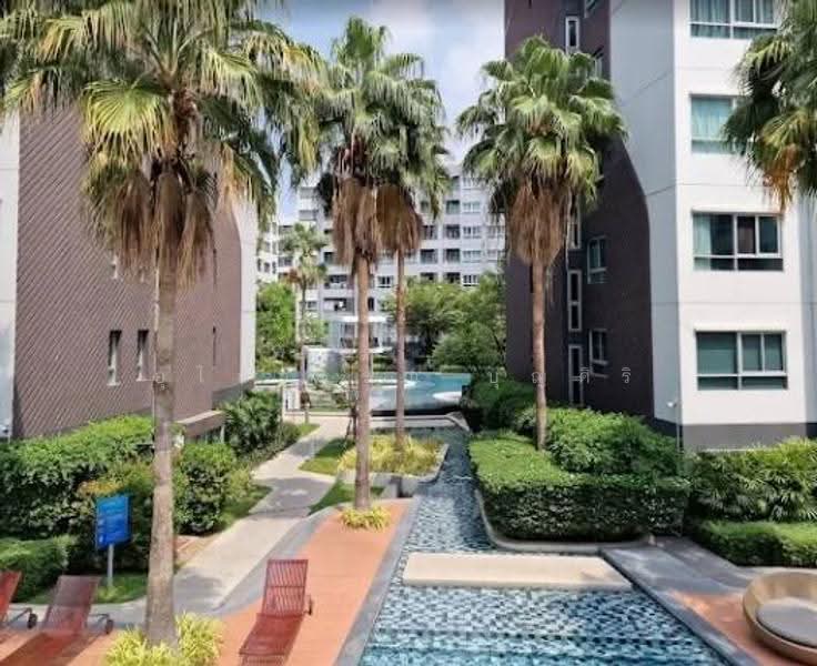 Elio Del Ray, Bangkok, 95 Sukhumvit 64 Road, Bang Chak, Phra Khanong, Bangkok, 1 Bedroom, 34 sqm, Condo For Rent, by Ulaiwan Boonsiri, 10034875 - DDproperty.com