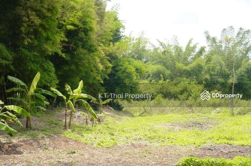 For Rent - Land for rent loei 11.5 rai - Road frontage Loei River, Loei