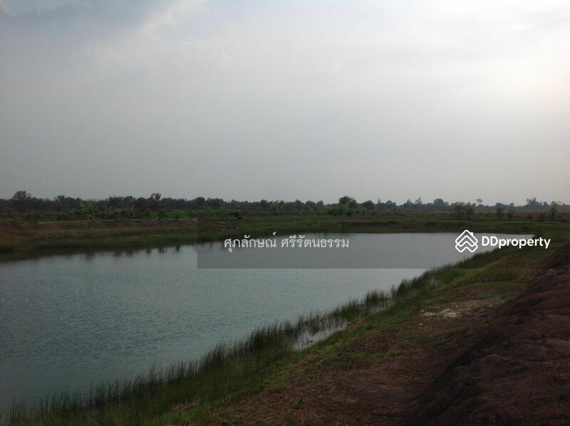 ที่ดินติดถนนเลียบคลอง14ฝั่งตะวันออก องครักษ์ นครนายก, นครนายก, 6901 รังสิต-นครนายก, บางปลากด, องครักษ์, นครนายก, 1,600 ตร.ม., ที่ดิน ขาย, โดย ศุภลักษณ์ ศรีรัตนธรรม, 10035834 - DDproperty.com