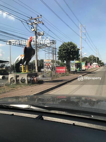 ที่ดินติดถนนเลียบคลอง14ฝั่งตะวันออก องครักษ์ นครนายก, นครนายก, 6901 รังสิต-นครนายก, บางปลากด, องครักษ์, นครนายก, 1,600 ตร.ม., ที่ดิน ขาย, โดย ศุภลักษณ์ ศรีรัตนธรรม, 10035834 - DDproperty.com