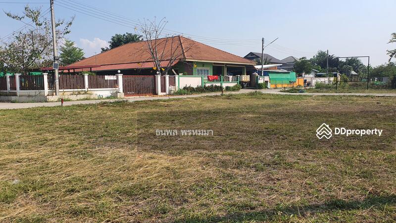 ขาย - ที่ดินเปล่า ! !! ถมแล้ว ไฟฟ้าพร้อม ประปาพร้อมลงบ้าน ใกล้เมืองเชียงใหม่