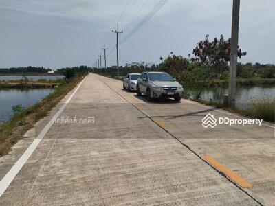 ขาย - ที่ดิน 7 ไร่ พันท้าย แสมดำ, สมุทรสาคร