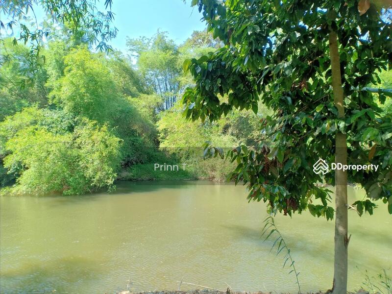 For Sale - taahaew, Phetchaburi