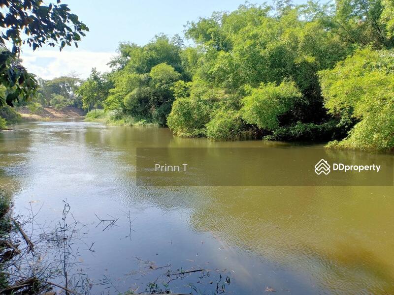 ขาย - taahaew, เพชรบุรี