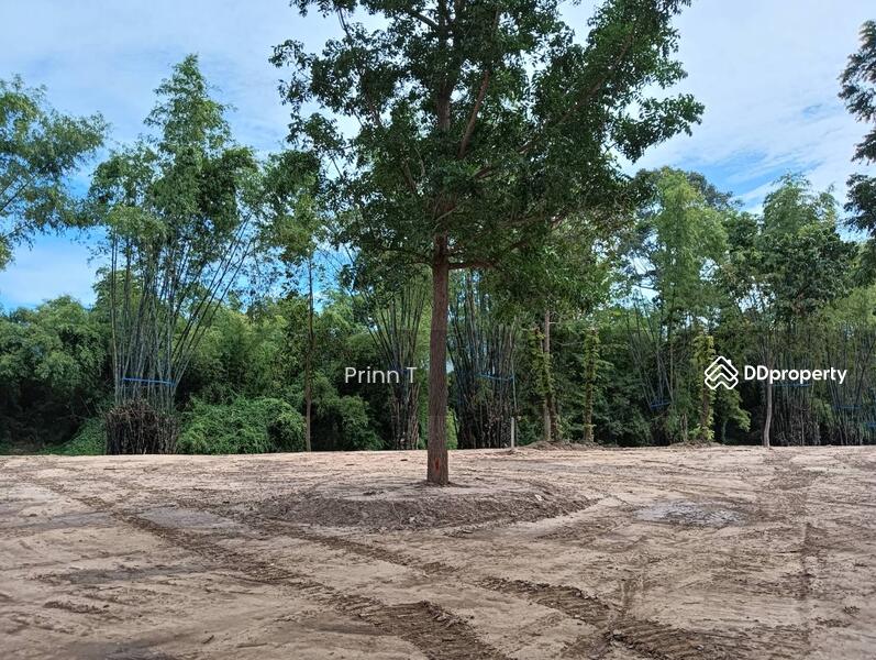 For Sale - taahaew, Phetchaburi