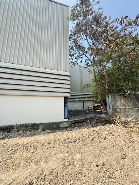 Warehouse for Rent near Amata City Chonburi, Chon Buri (Pattaya), 104/4 หนองตาเมือง, Na Pa, Muang Chon Buri, Chon Buri (Pattaya), , 456 sqm, Warehouse/Factory For Rent, by Natmethinee Surapat, 10052571 - DDproperty.com