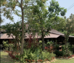 baansuan, เพชรบุรี