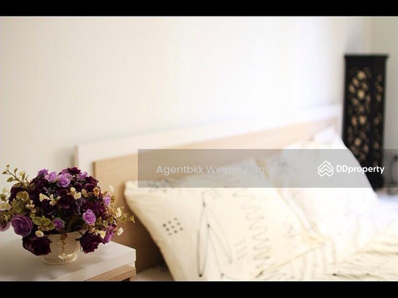 For Rent - My Condo Sukhumvit 81, Bangkok