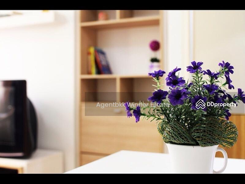 ให้เช่า - My Condo Sukhumvit 81 : มายคอนโด สุขุมวิท81, กรุงเทพ