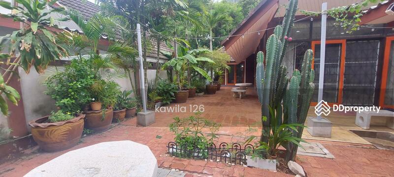 Private Home Pattaya 100m to the Beach two bedrooms for long term rent, Chon Buri (Pattaya), 245/5 หมู่ที่ 8 แขวงหนองปรือ เขตบางละมุง จังหวัดชลบุรี, Nong Pru, Bang Lamung (Pattaya), Chon Buri (Pattaya), 2 Bedrooms, 100 sqm, Single Detached House For Rent, by Khun kawila, 10069568 - DDproperty.com