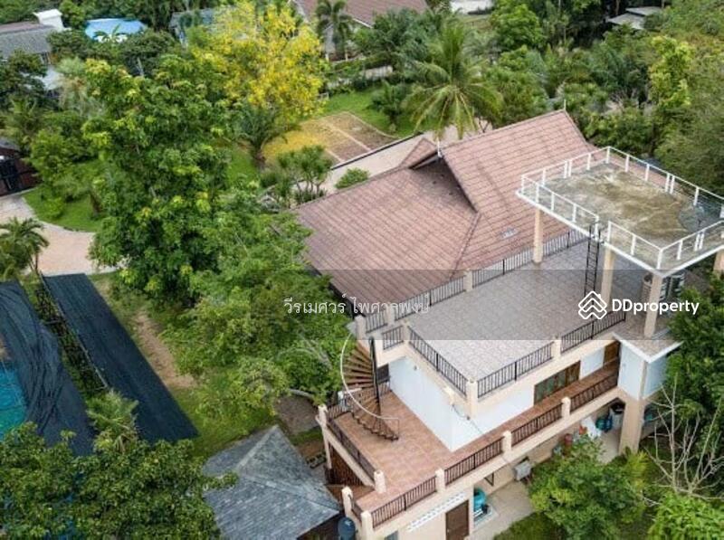 ขายสุดคุ้ม! บ้านไม้สัก—พัทยา (ตกแต่งสไตล์ Pool Villa) บนเนื้อที่ 2-1-0 ไร่ ## สวนร่มรื่น 