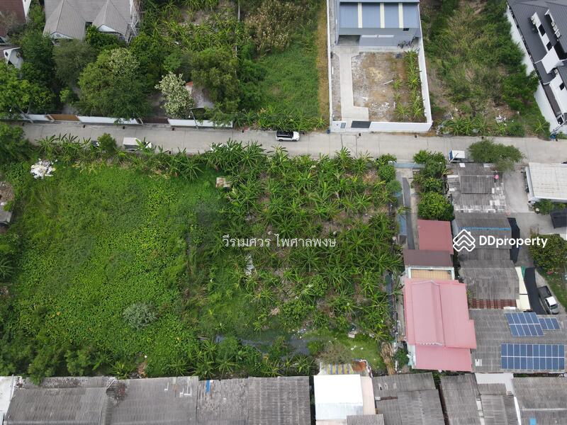 ขายถูก! ที่ดินอ่อนนุช ใกล้ถนนพัฒนาการตัดใหม่ และ Lotus อ่อนนุช (เหมาะสร้าง บ้าน + สำนักงาน + Townhom