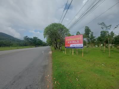 ขาย - ที่ดินแปลงใหญ่ เมืองภูเก็ต ภูเก็ต, ภูเก็ต