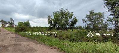 ขาย - ที่ดิน 2 ไร่ หนองเสือ ปทุมธานี, ปทุมธานี