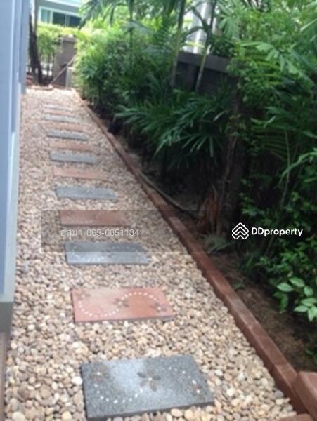 the plant estique, Bangkok, , Suan Luang, Bangkok, 3 Bedrooms, 145 sqm, Single Detached House For Rent, by Usuma Usumachat, 10086632 - DDproperty.com