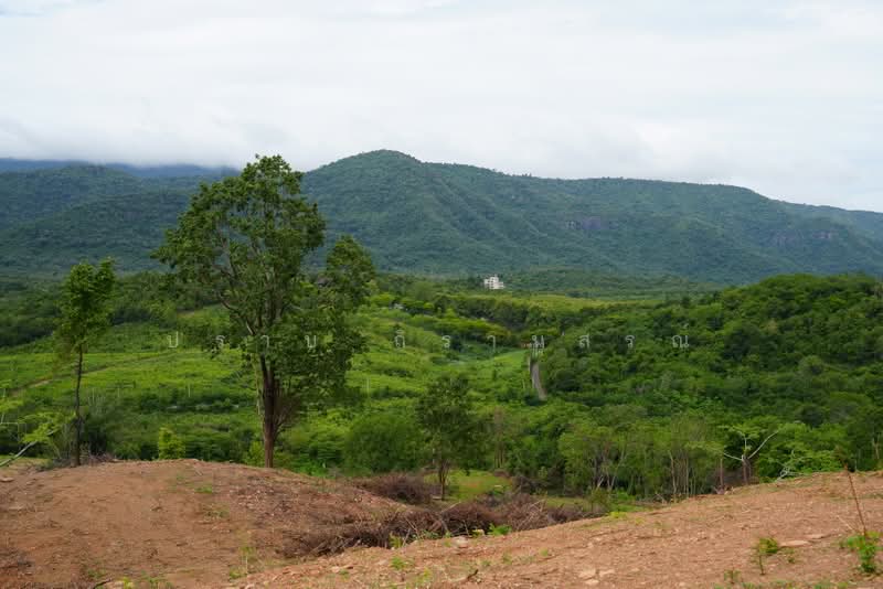 เขาใหญ่ 40 ไร่ ใกล้อินเตอร์คอน สวอนเลค เวิลด์พีซ, นครราชสีมา, Khao Yai 40 rai เขาใหญ่, โป่งตาลอง, ปากช่อง, นครราชสีมา, 65,600 ตร.ม., ที่ดิน ขาย, โดย ปราบ ถิรานุสรณ์, 10086754 - DDproperty.com