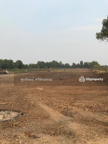 ที่ดินติดถนนเลียบคลอง14ฝั่งตะวันออก ติดถนนและติดน้ำ เหมาะทำแปลงจัดสรรขนาดเล็ก หรือบ้านสวน, นครนายก, 60141 เลียบคลอง14รังสิต-นครนายก, บางปลากด, องครักษ์, นครนายก, 1,600 ตร.ม., ที่ดิน ขาย, โดย ศุภลักษณ์ ศรีรัตนธรรม, 10090911 - DDproperty.com