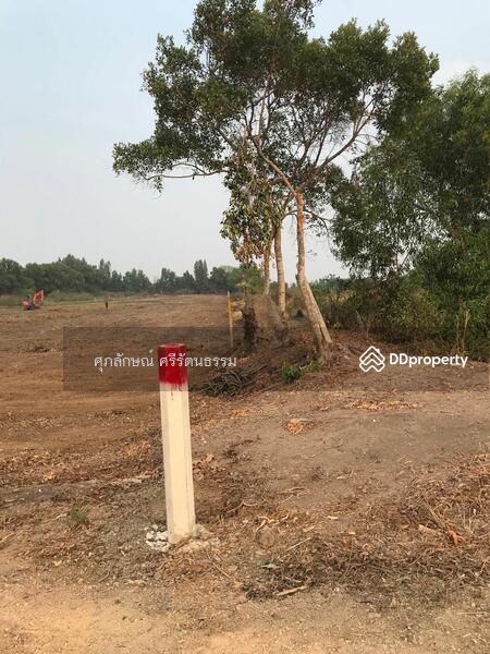 ที่ดินติดถนนเลียบคลอง14ฝั่งตะวันออก ติดถนนและติดน้ำ เหมาะทำแปลงจัดสรรขนาดเล็ก หรือบ้านสวน, นครนายก, 60141 เลียบคลอง14รังสิต-นครนายก, บางปลากด, องครักษ์, นครนายก, 1,600 ตร.ม., ที่ดิน ขาย, โดย ศุภลักษณ์ ศรีรัตนธรรม, 10090911 - DDproperty.com