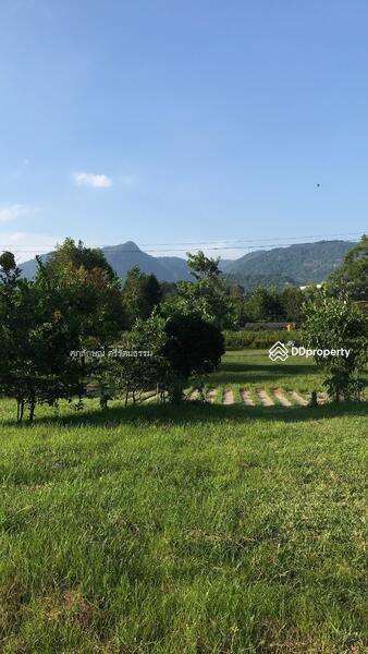 ที่ดินแปลงสวยติดถนนติดคลองส่งนำ้, Nakhon Nayok, 2 ถนนเลียบคลองชลประทาน, Hin Tung, Muang Nakhon Nayok, Nakhon Nayok, , 1,200 sqm, Land For Sale, by ศุภลักษณ์ ศรีรัตนธรรม, 10090918 - DDproperty.com