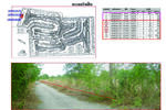 ที่ดินเปล่าในสนามกอล์ฟ องครักษ์ นครนายก, นครนายก