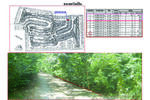ที่ดินเปล่าในสนามกอล์ฟ องครักษ์ นครนายก, นครนายก