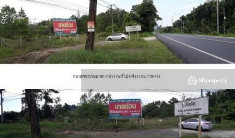 ที่ดินแปลงใหญ่ 1 แปลง ตะกั่วป่า พังงา