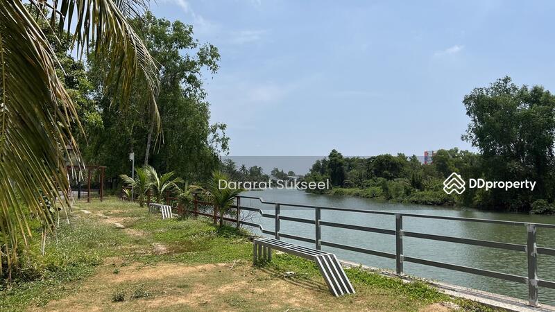 Beautiful Luxury Villa for rent in Surat Thani, Surat Thani, 88/102 Baan Suay Nam Sai, Wat Pradu, Muang Surat Thani, Surat Thani, 3 Bedrooms, 295 sqm, Single Detached House For Rent, by Jiranan Sukseel, 10097696 - DDproperty.com