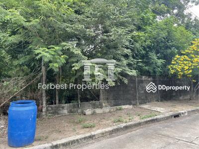 ขาย - 41861 - ขายที่ดินทำเลดี หมู่บ้านเมืองเอก รังสิต ใกล้ ม. รังสิต เนื้อที่ 271 ตารางวา | 41861
