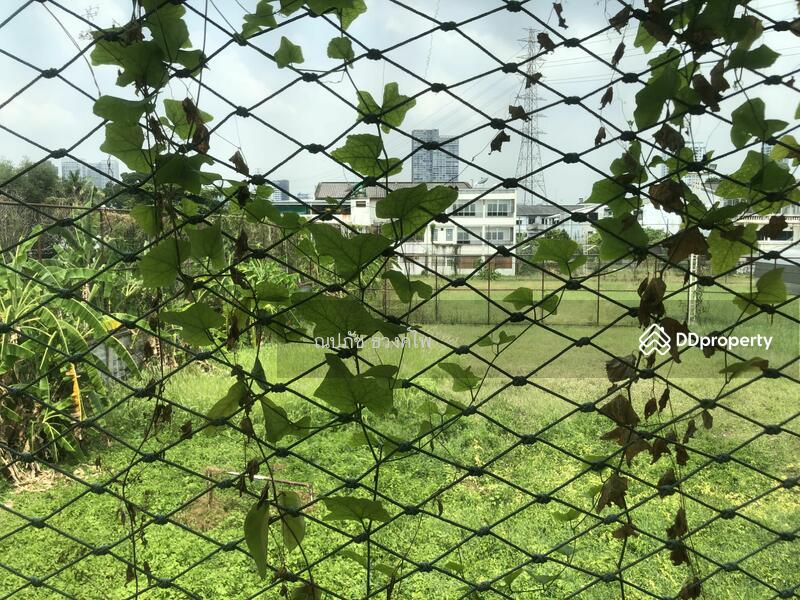 บ้านเดี่ยว, Bangkok, ซ.วิภาวดีรังสิต 16/21, Jom Phon, Chatuchak, Bangkok, 3 Bedrooms, 180 sqm, Single Detached House For Sale, by ณปภัช ธวงค์ไพ, 10107577 - DDproperty.com