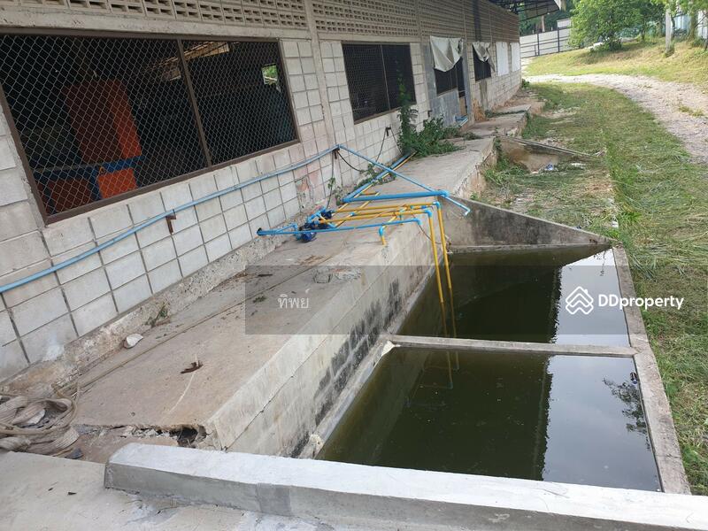 ขาย - โรงงานหนองเขม ศรีราชา, ชลบุรี