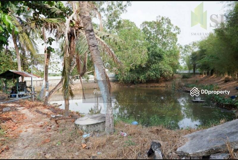 ขาย - ที่ดิน ศรีราชา, ชลบุรี