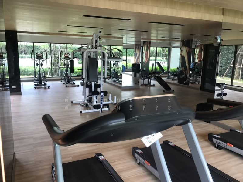 Plum Condo Chokchai 4 : พลัม คอนโด โชคชัย 4, กรุงเทพ, ถนนโชคชัย 4, ลาดพร้าว, กรุงเทพ, 26 ตร.ม., คอนโด ให้เช่า, โดย ภัทร อิสรางกูร, 10120702 - DDproperty.com