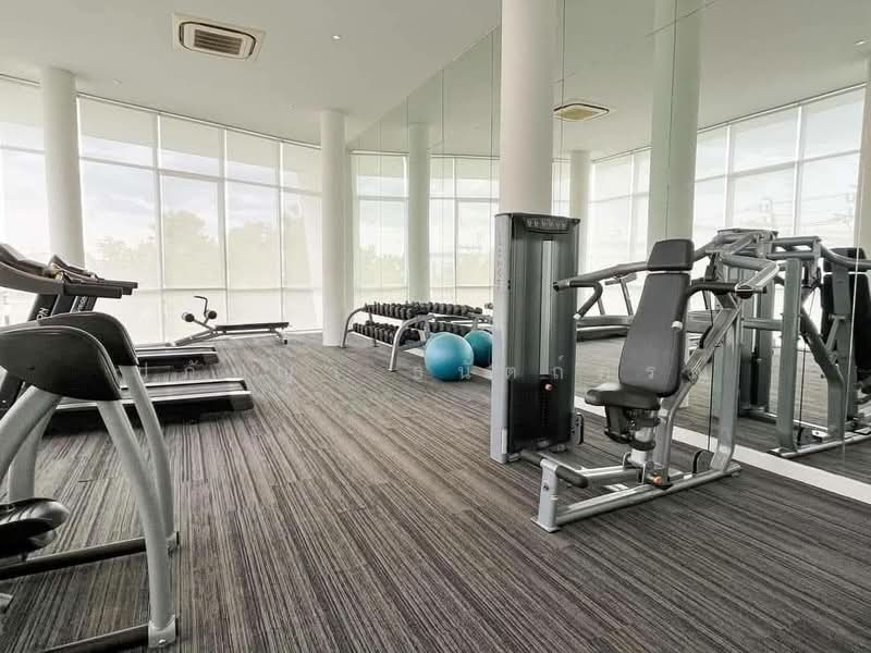 บ้านกลางเมือง ราชพฤกษ์-พระราม 5, Nonthaburi, Bang Phai, Muang Nonthaburi, Nonthaburi, 3 Bedrooms, 141 sqm, Townhouse For Rent, by ปภัชญา ธนัตถ์ภรณ์, 10120769 - DDproperty.com