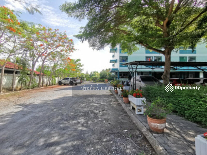 มงคลอพาร์ทเม้นท์, Chachoengsao, - -, Lat Khwang, Ban Pho, Chachoengsao, 10+ Bedrooms, 1,600 sqm, Apartment For Sale, by นัฐชภัสร์ นวลถิระยนต์, 10133765 - DDproperty.com